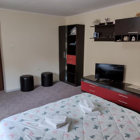 Mario'S Cozy Apartment Rîşnov Eksteriør billede
