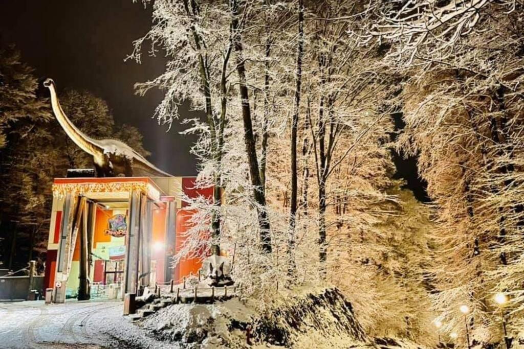 Mario'S Cozy Apartment Rîşnov Eksteriør billede